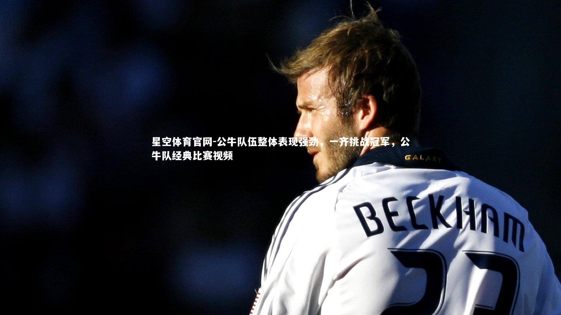 公牛队伍整体表现强劲，一齐挑战冠军，公牛队经典比赛视频